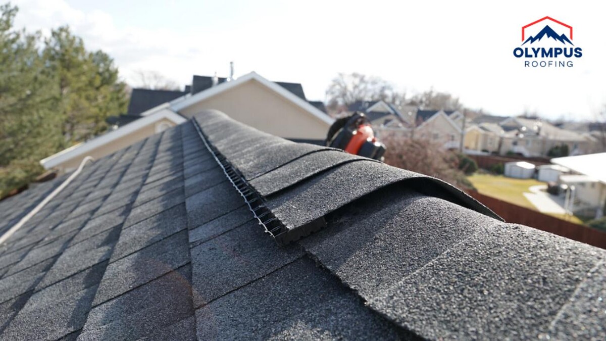 Images Olympus Roofing