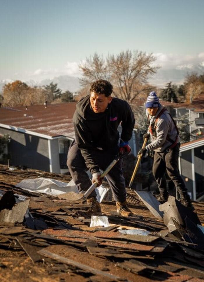 Images Olympus Roofing