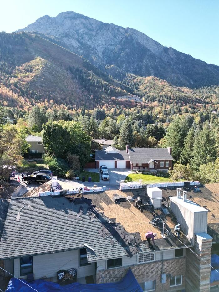 Images Olympus Roofing