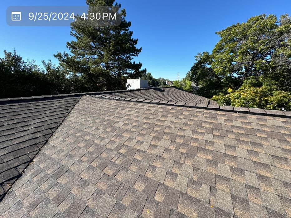 Images Olympus Roofing