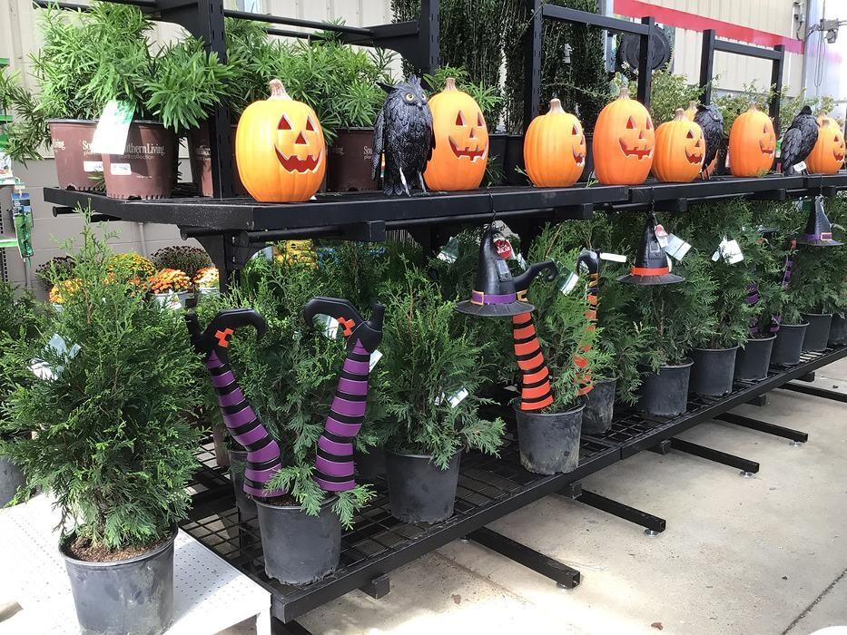 Images Tractor Supply Co.