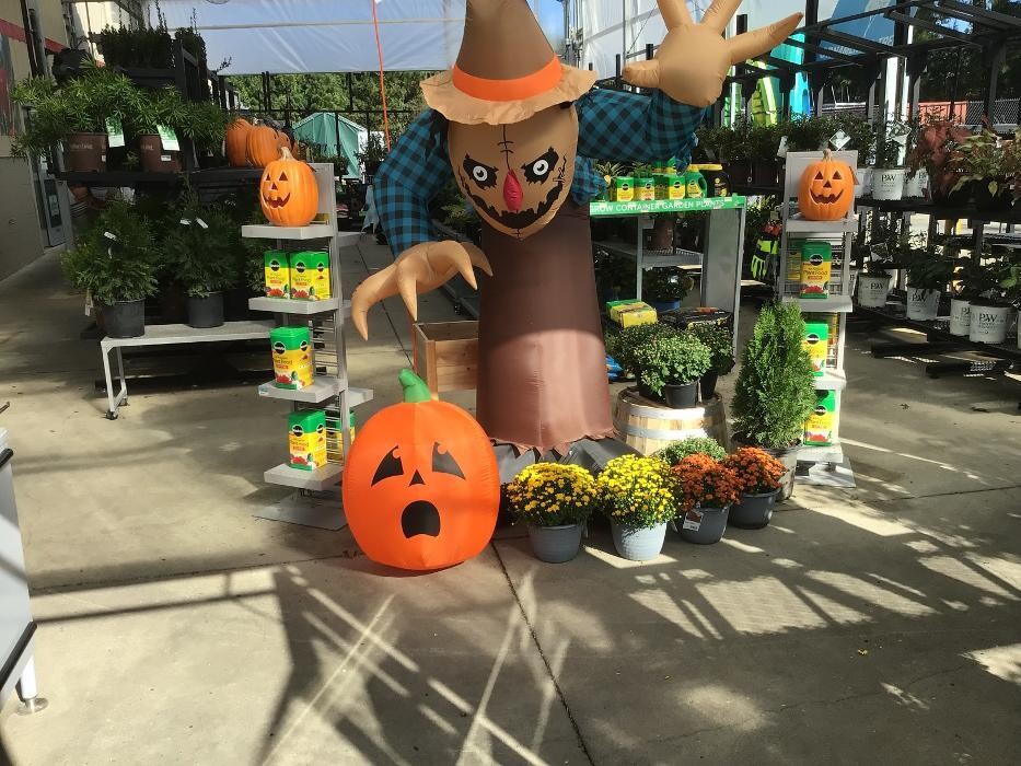 Images Tractor Supply Co.