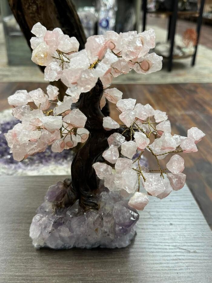 Images Essential Necessities LLC & The Rock Shop