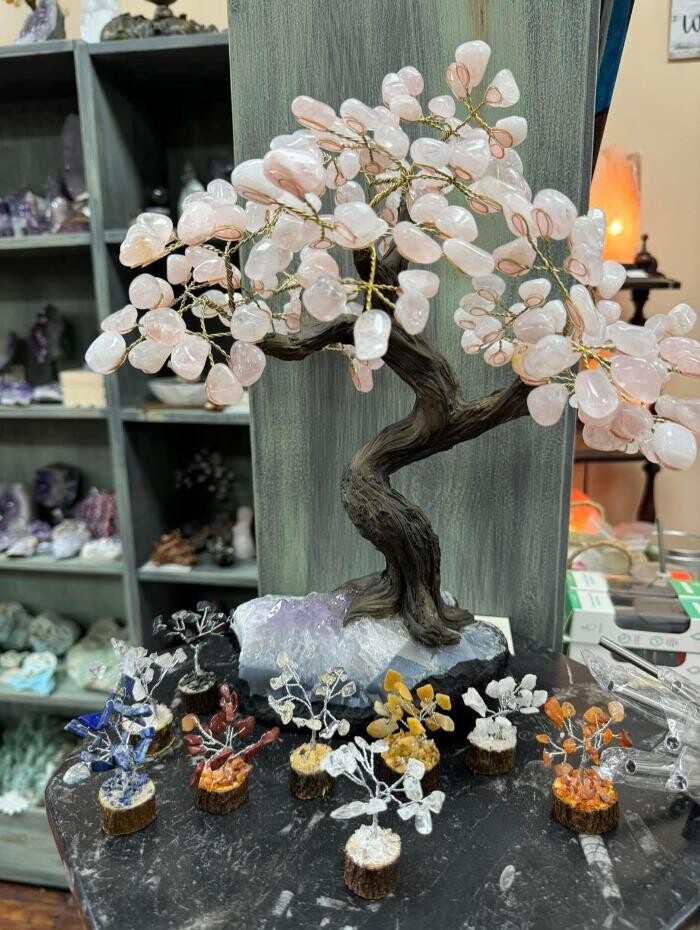 Images Essential Necessities LLC & The Rock Shop