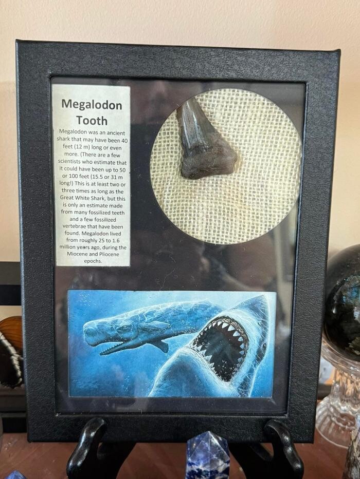 Images Essential Necessities LLC & The Rock Shop