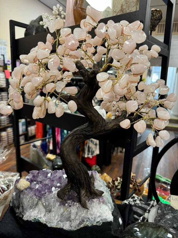 Images Essential Necessities LLC & The Rock Shop