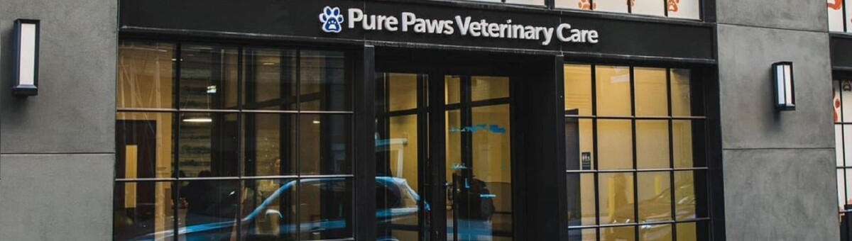 Images Pure Paws Veterinary Care of Hudson Square