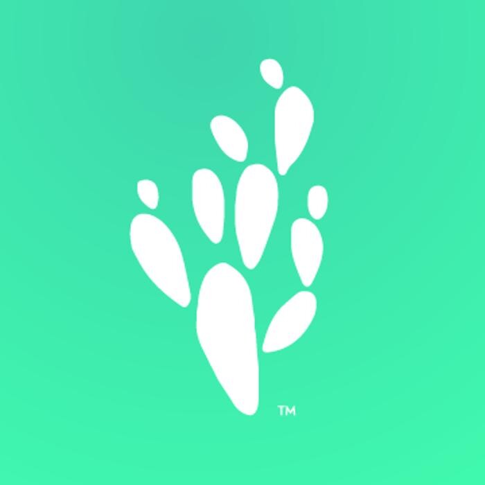 PROVISION Logo