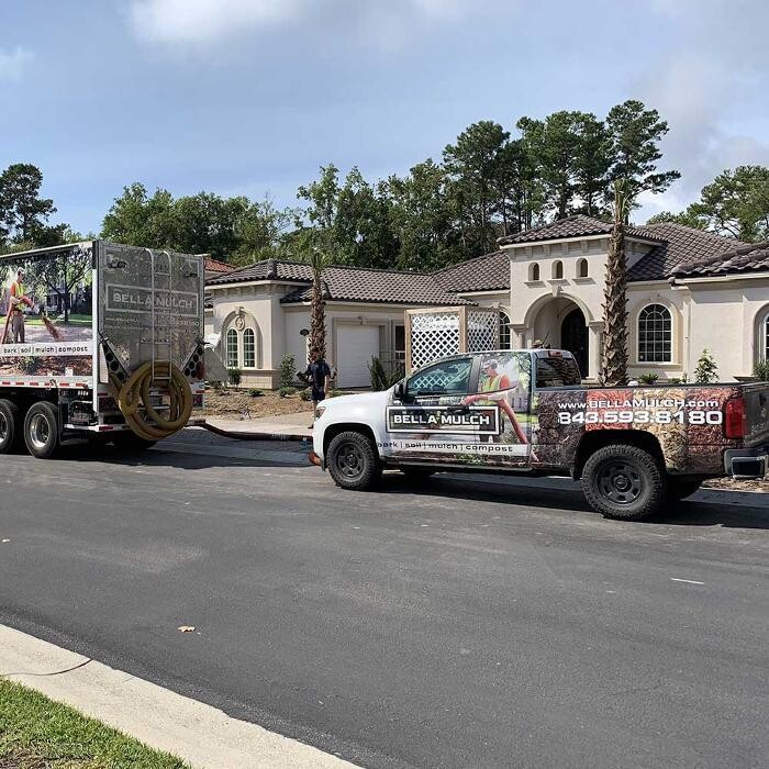 Images Bella Mulch