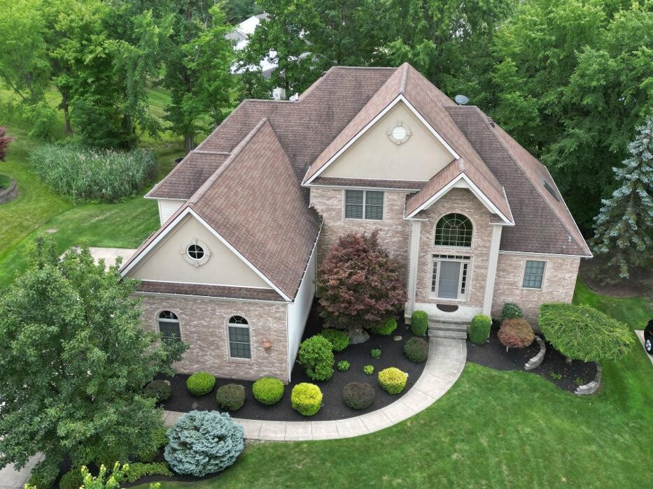 Images Realty Done by Damien Baden