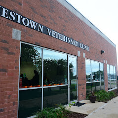Images Westown Veterinary Clinic