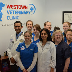 Images Westown Veterinary Clinic