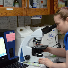 Images Westown Veterinary Clinic