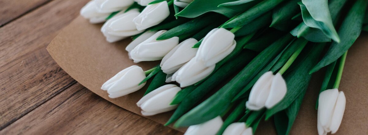 Images McDougal Funeral Homes