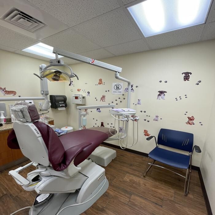 Images Brevard Health Alliance