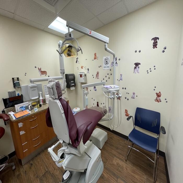 Images Brevard Health Alliance