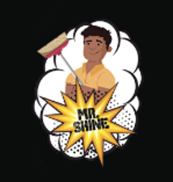 Mr. Shine Cleaning Services Logo