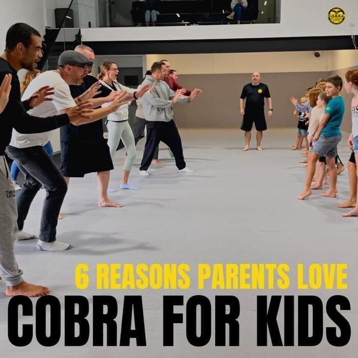 Images Cobra Self-Defense, Denver