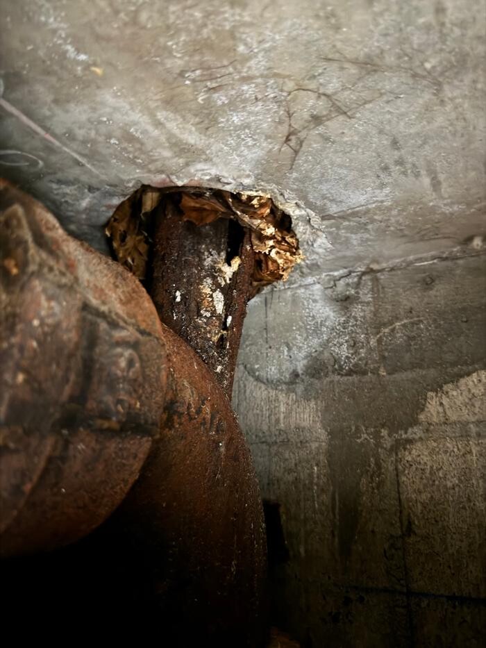 Images Elite Plumbing & Drains LLC