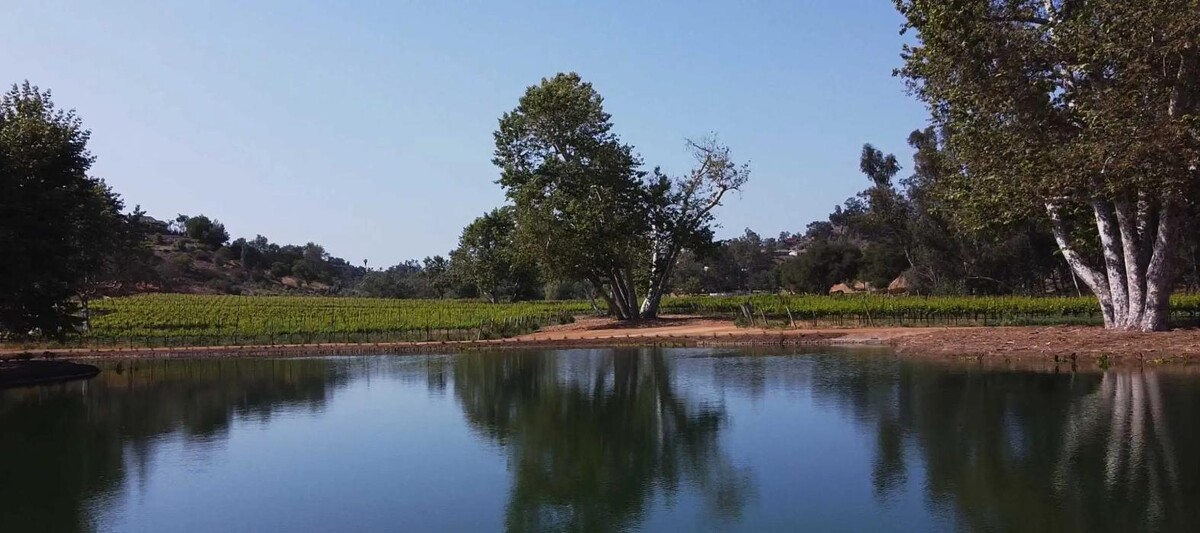 Images Monserate Winery