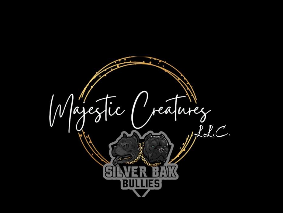 Images Majestic Creatures LLC