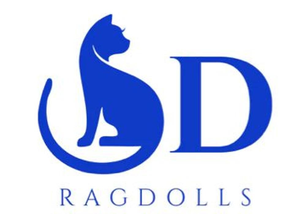 SD Ragdolls Logo