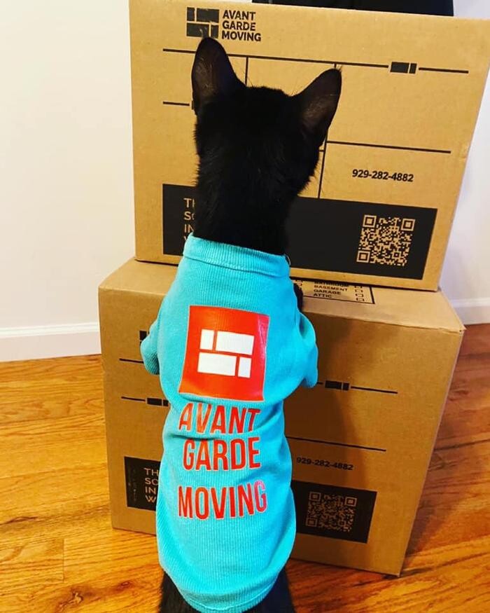 Images Avant-Garde Moving & Storage