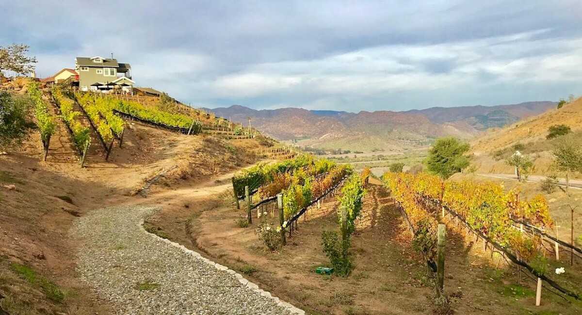 Images Highland Valley Vineyards