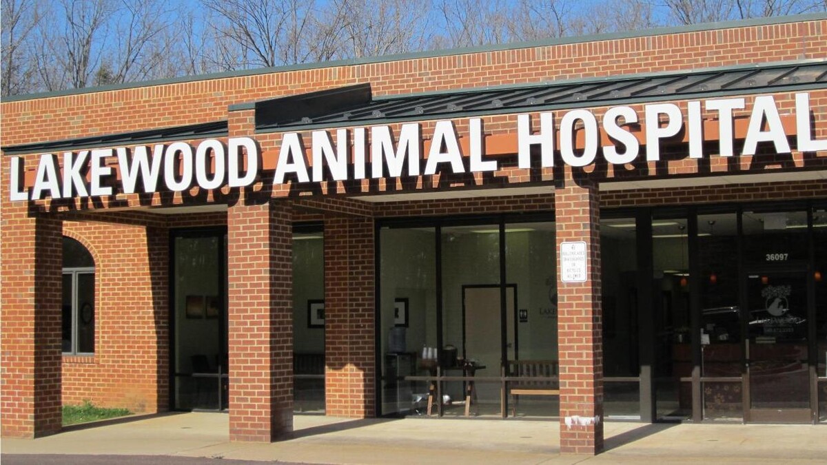 Images Lakewood Animal Hospital