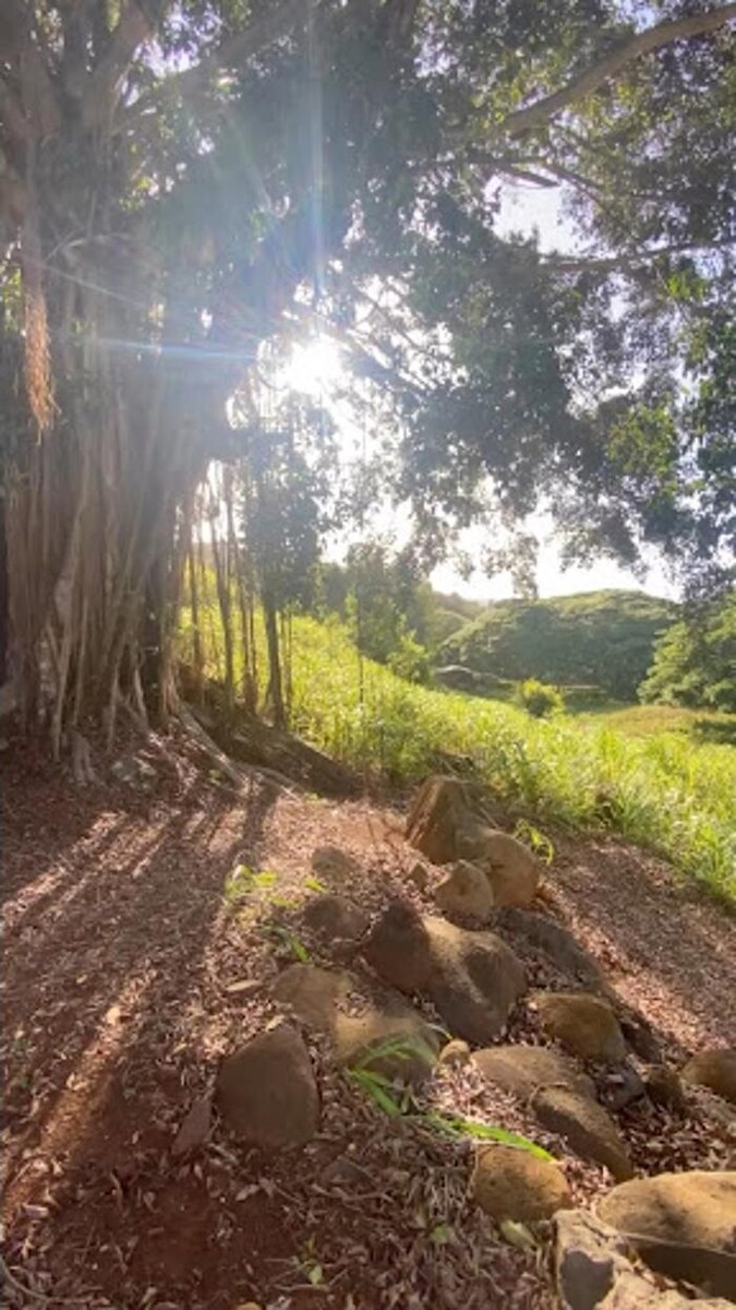 Images Sanctuary Estate Hawaii