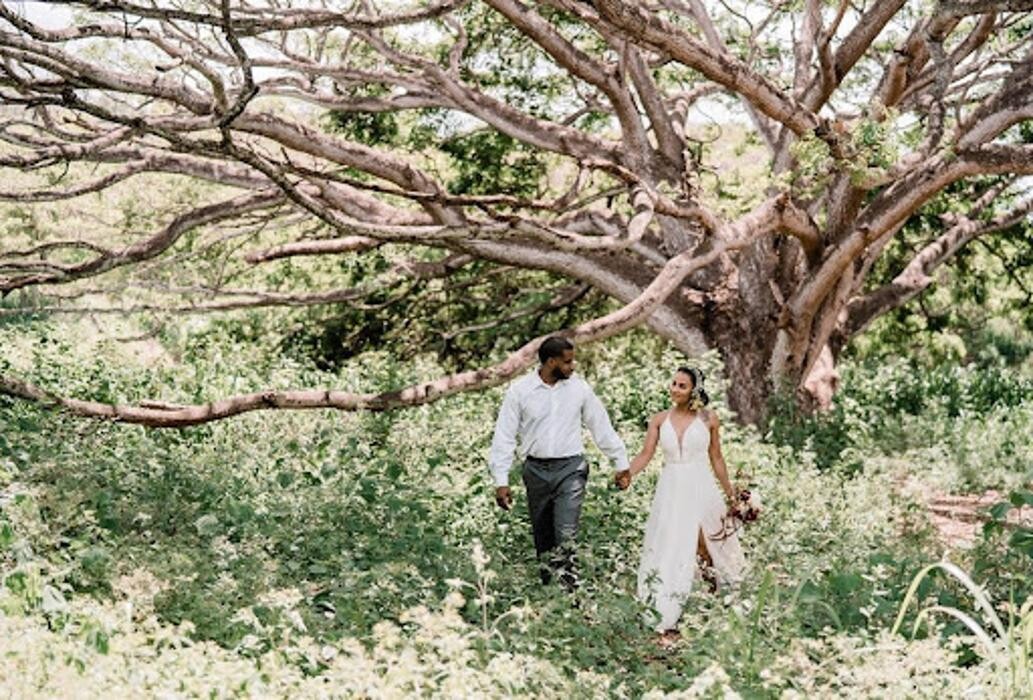 Images Sanctuary Estate Hawaii