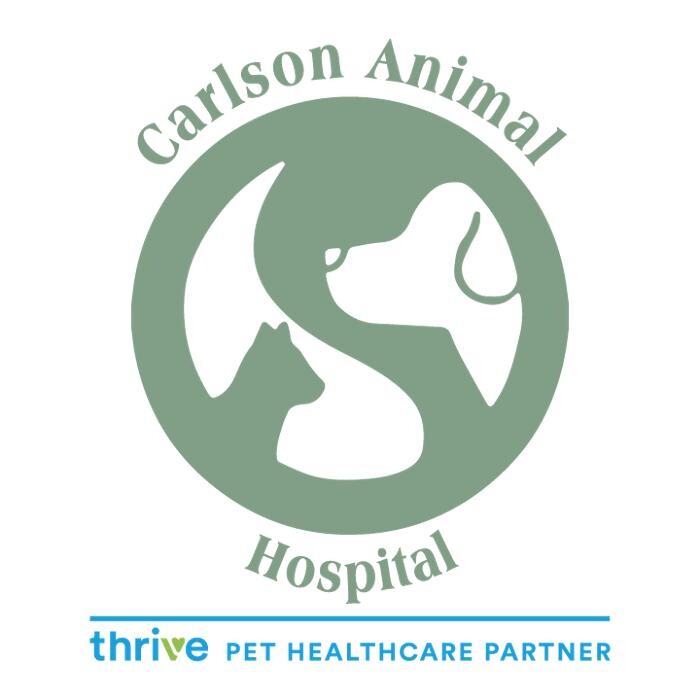 Carlson Animal Hospital, A Thrive Pet Healthcare Partner Logo