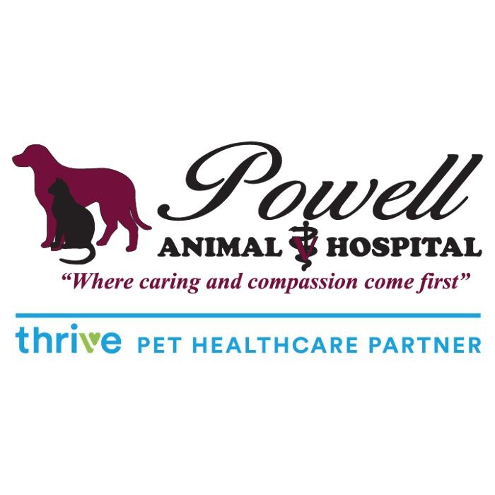 Powell Animal Hospital, A Thrive Pet Healthcare Partner Logo