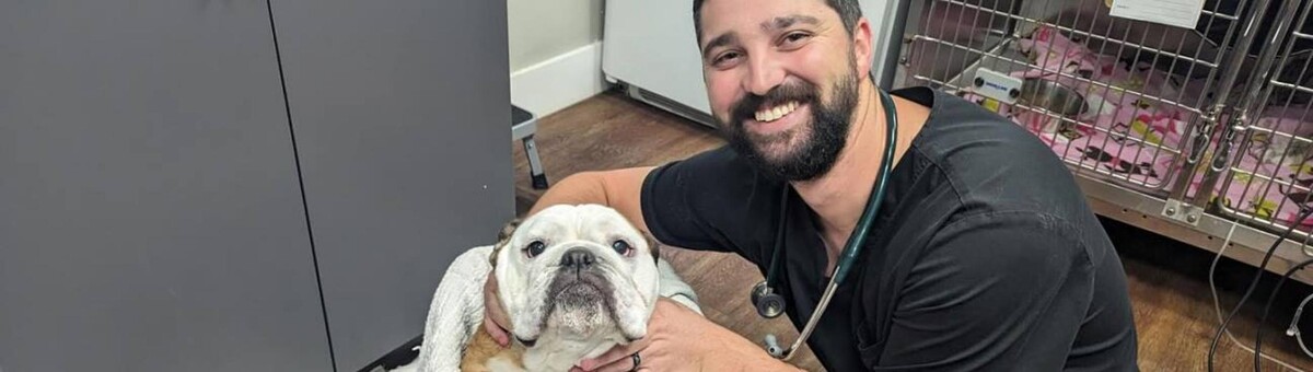 Images 30th Street Animal Hospital