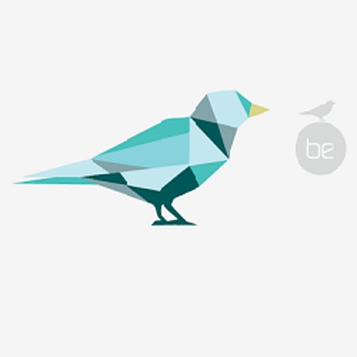 Birdseye Dentistry Logo