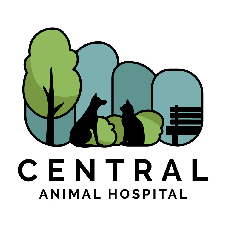 Central Animal Hospital of Stoneham Logo