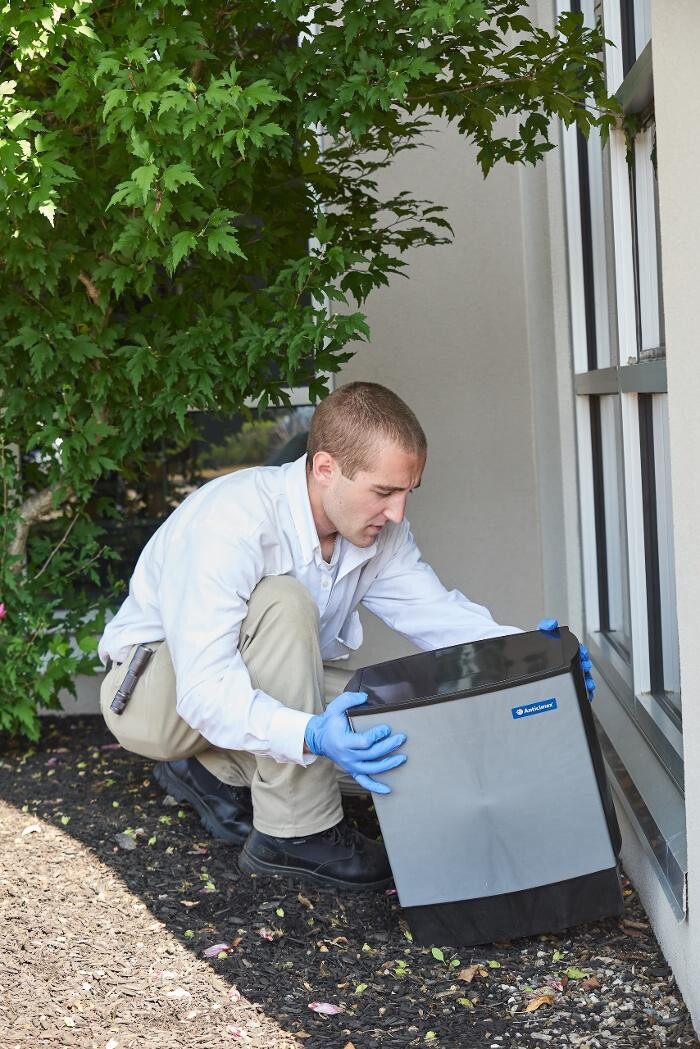 Images Modern Pest Services