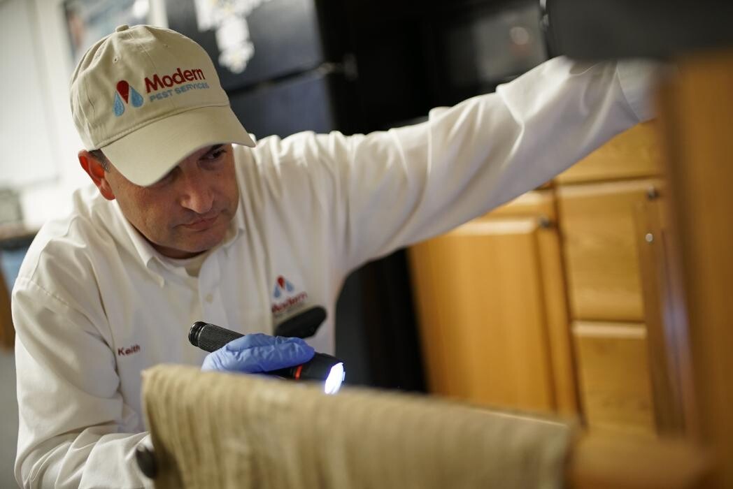 Images Modern Pest Services