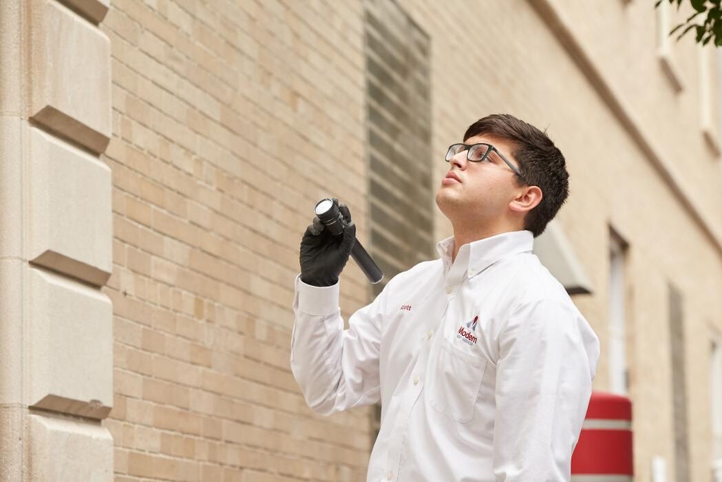 Images Modern Pest Services