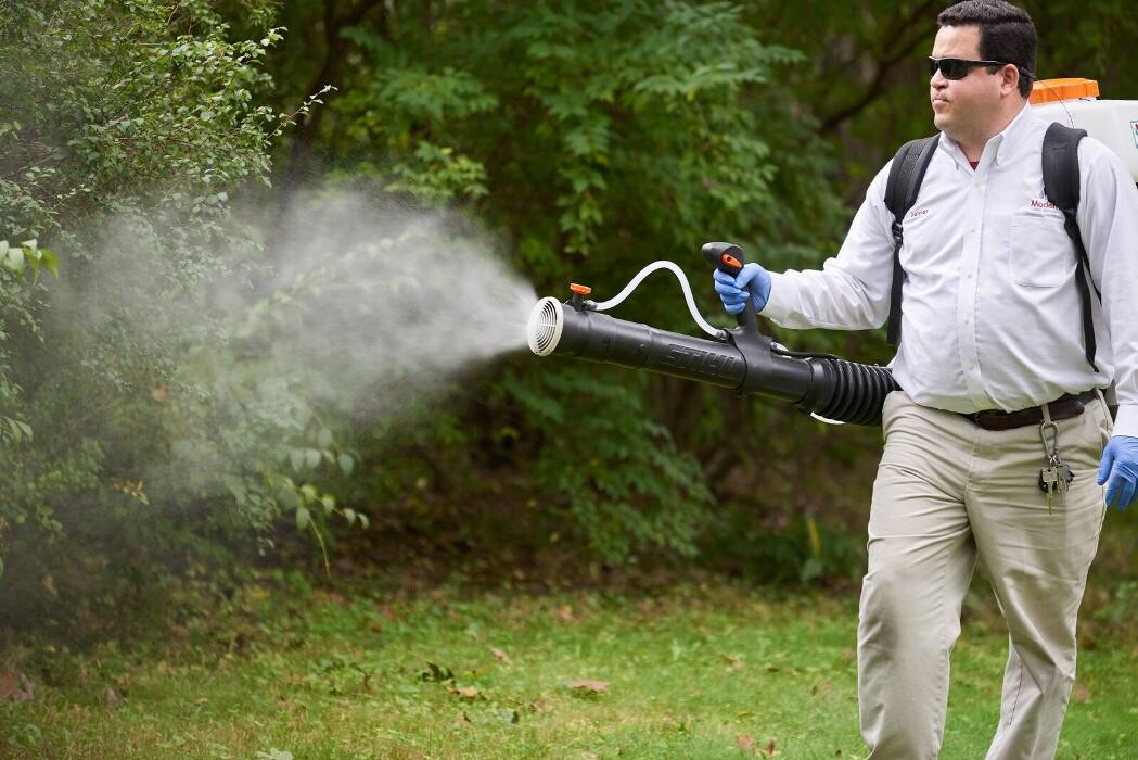 Images Modern Pest Services