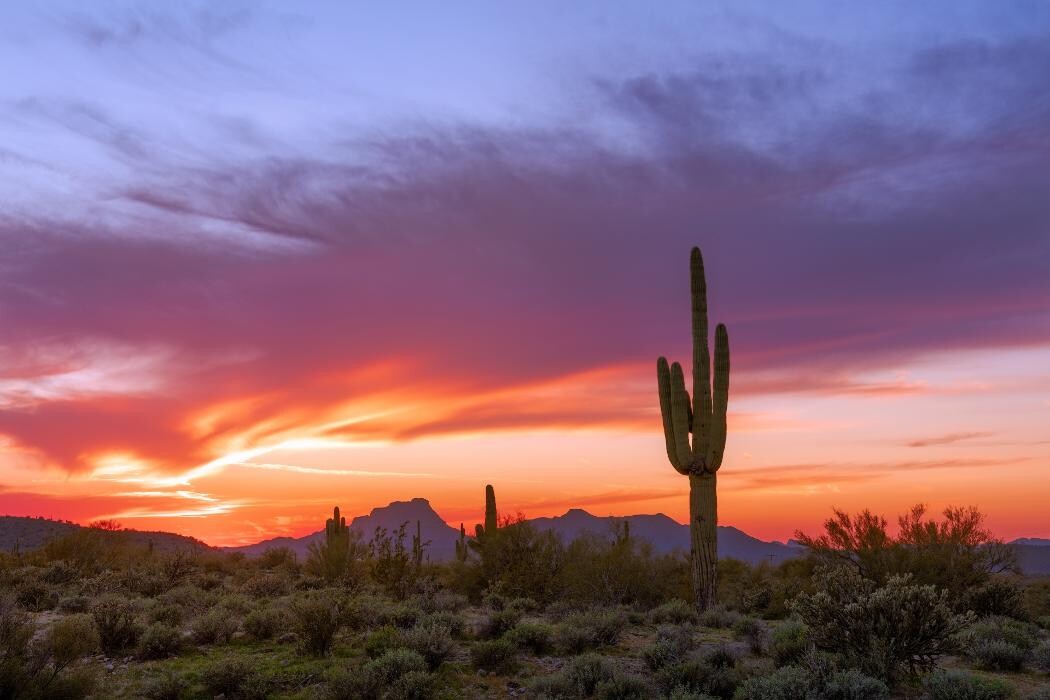 Images iTrip Vacations Tempe