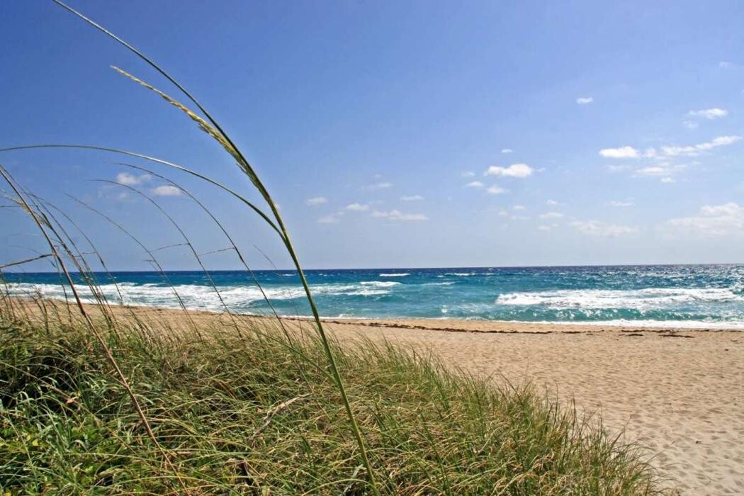 Images iTrip Palm Beach