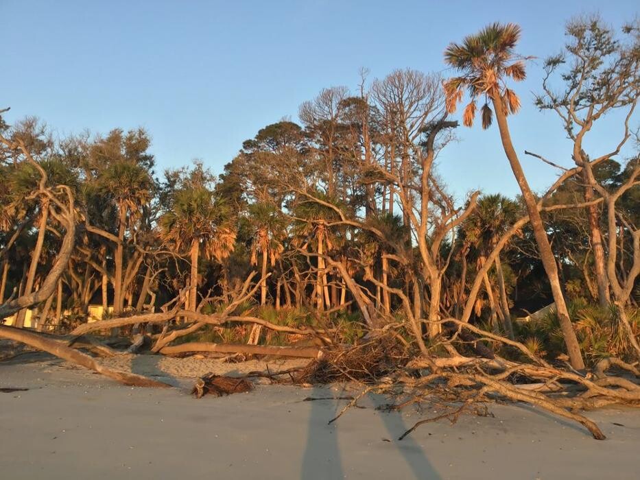 Images iTrip Vacations South Carolina Sea Islands