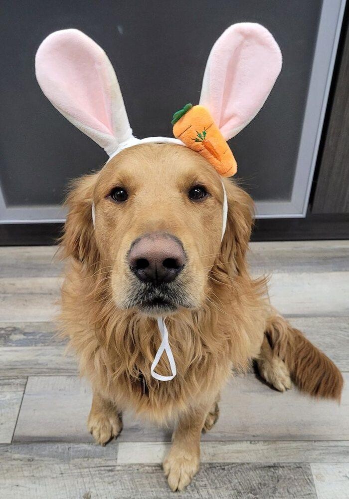 Images Barkley Heating & Air LLC