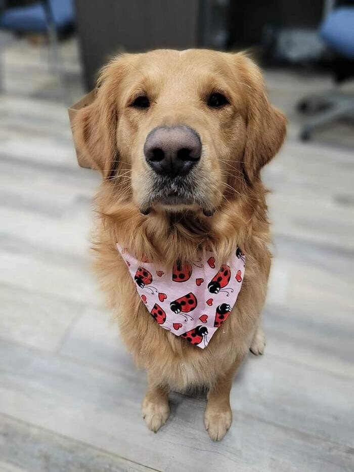 Images Barkley Heating & Air LLC