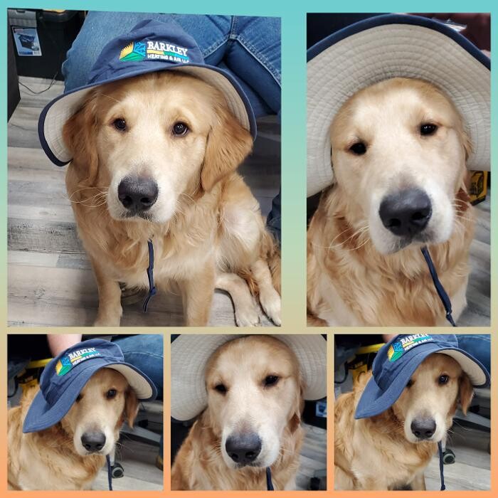 Images Barkley Heating & Air LLC