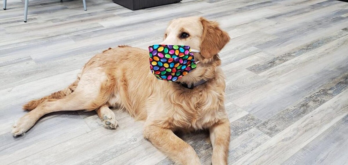 Images Barkley Heating & Air LLC