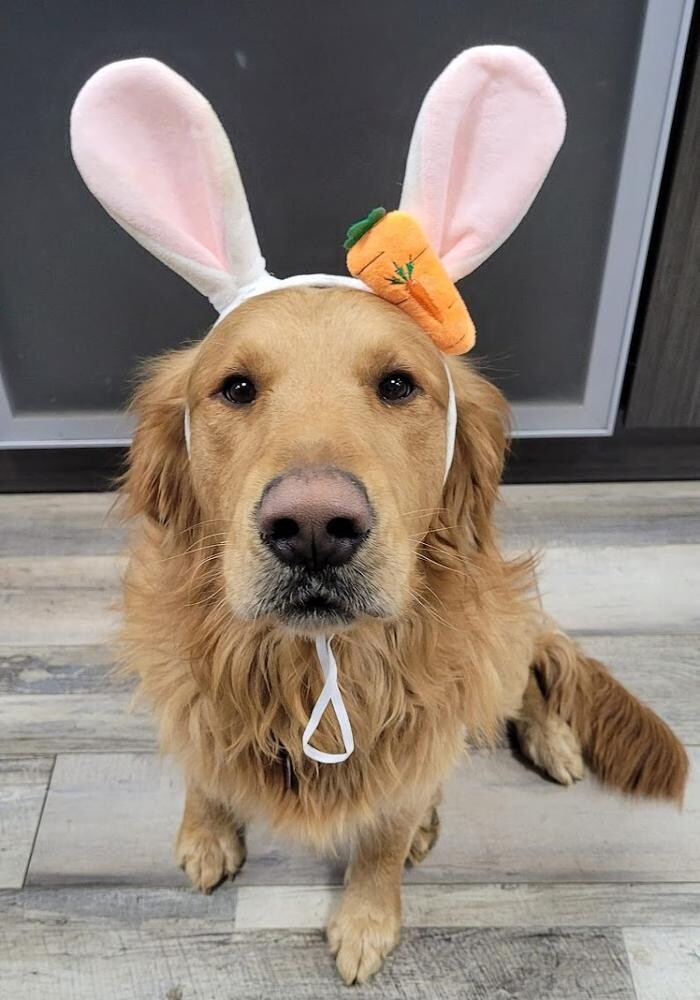 Images Barkley Heating & Air LLC