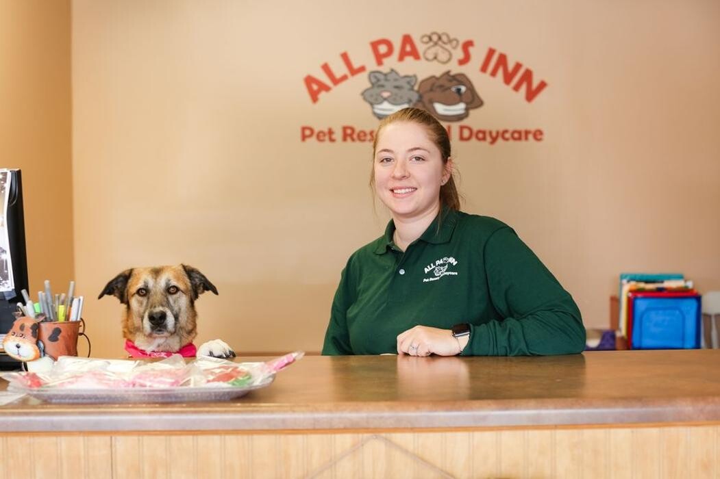 Images All Paws Inn Pet Resort and Daycare