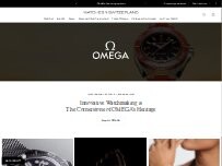 Website Screenshot Omega